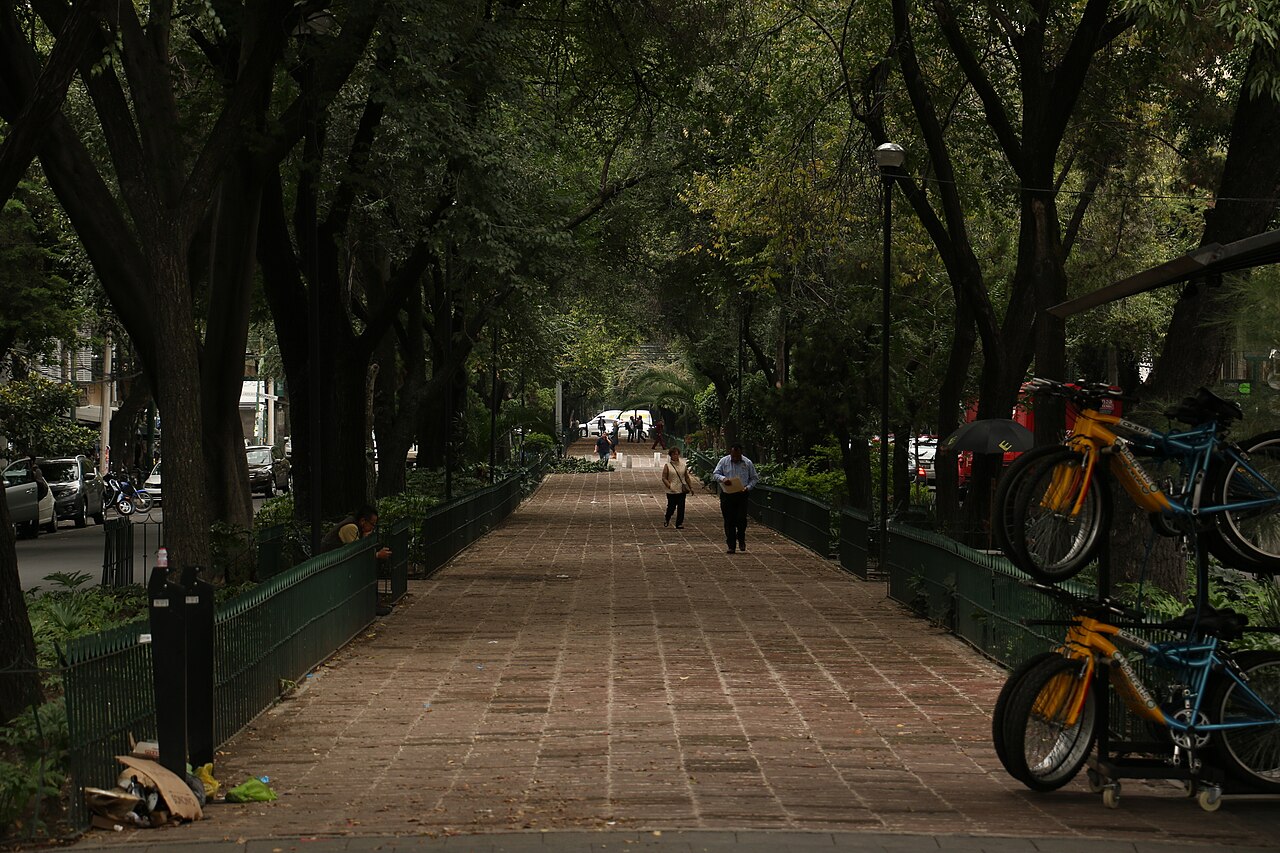 Roma Norte, Mexico City — photograph by Ximena Herand, CC BY-SA 4.0 A tree-lined pedestrian avenue in Roma Norte, Mexico City